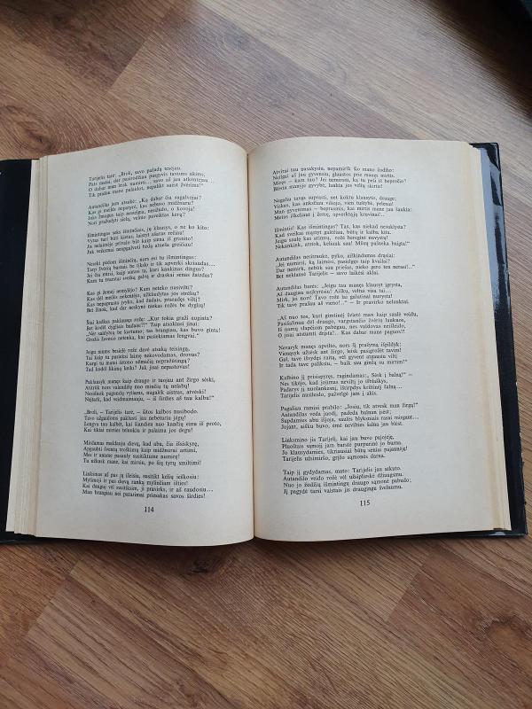 Karžygys tigro kailiu - Šota Rustavelis, knyga 4