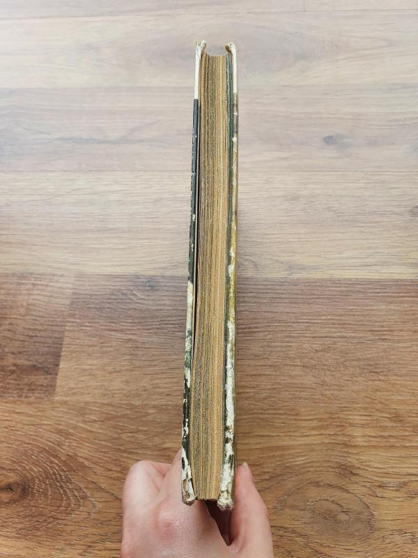 Mezgimas - K.V. Grefas, knyga 3