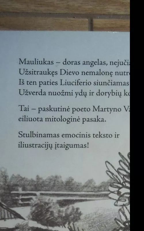 Mauliukas - Martynas Vainilaitis, knyga