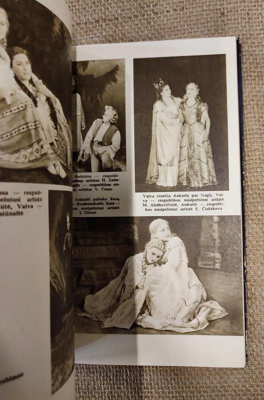 Lietuvių nacionalinė opera - Stasys Yla, knyga 3