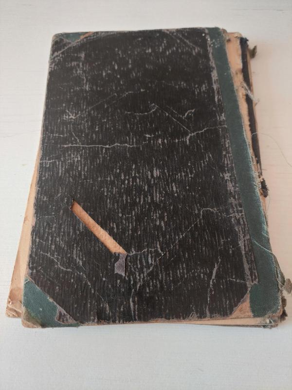 Lietuvos giriose - S. Minclovas, knyga 4