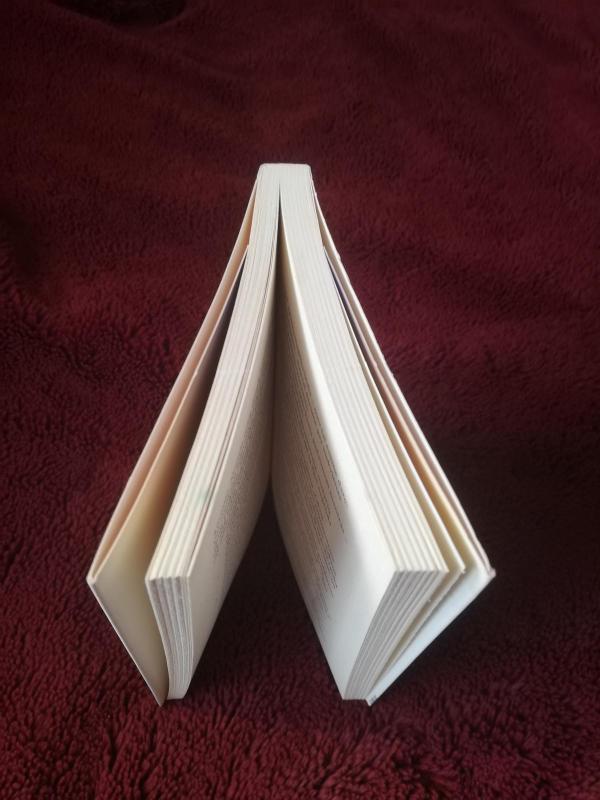 Pasimatymai su nušvitimu - Autorių Kolektyvas, knyga 3