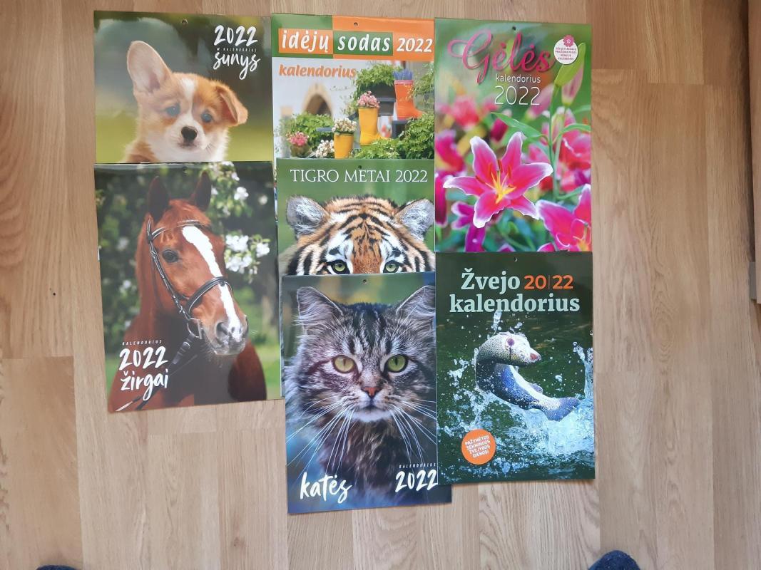 Kalendoriai 2022 - Autorių Kolektyvas, knyga 2