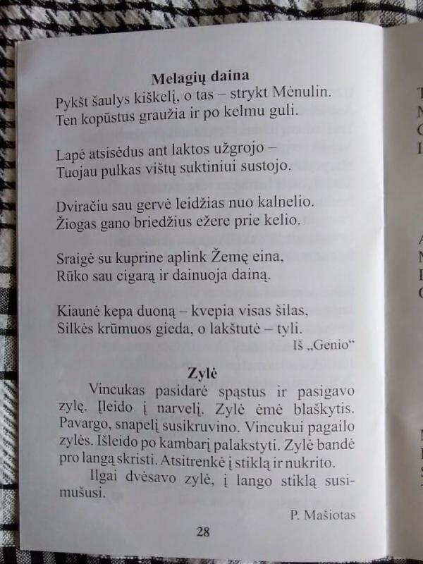 Skaitinukai I-II klasių mokinukams - Autorių Kolektyvas, knyga 4