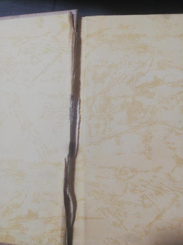 Pedagoginė poema - A. Makarenka, knyga 4