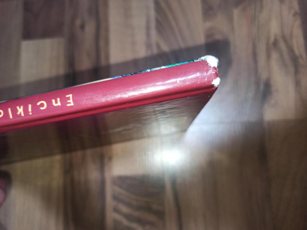 Enciklopedija vaikams apie Lietuvą - Viktoras Jakimavičius, knyga 2