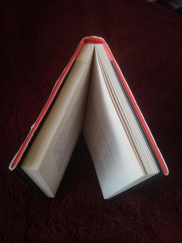 Žmogėdros sode - Leïla Slimani, knyga 3