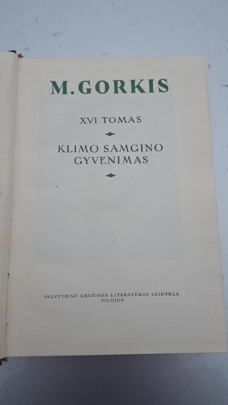 Raštai (16 tomas) - Maksimas Gorkis, knyga 2