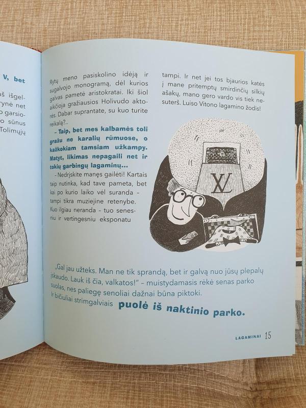 interviu su daiktais - Audronė Meškauskaitė, knyga