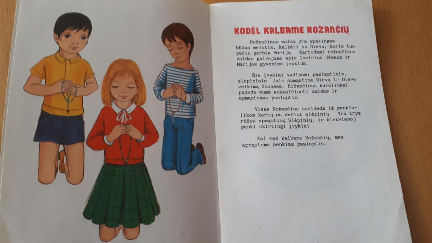 Rožančius - Karen Cavanagh, knyga 3