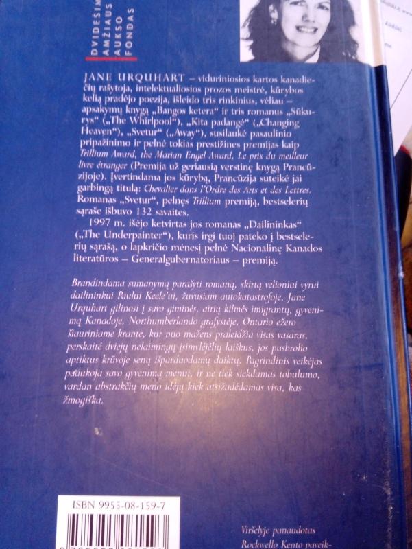 Dailininkas - Jane Urquhart, knyga 2