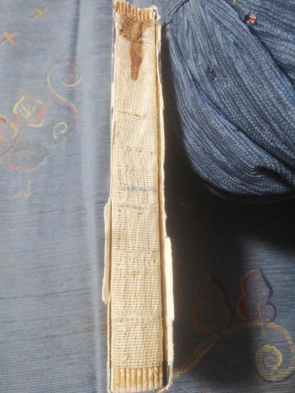 Kaip elgtis - Karlas Smolka, knyga 4