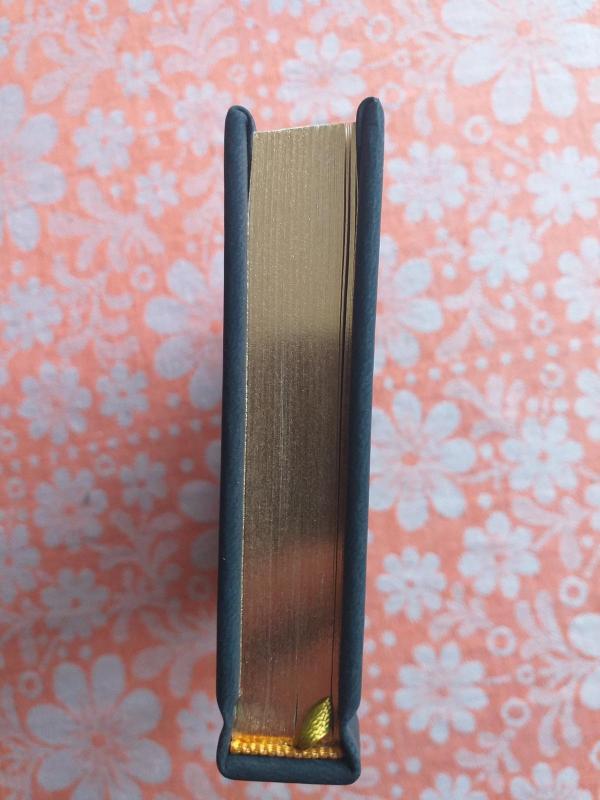 Książeczka apostola Fatimy (Fatimos maldynas) - Autorių Kolektyvas, knyga 3