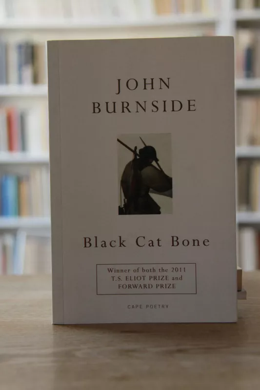 Black Cat Bone - John Burnside, knyga 3