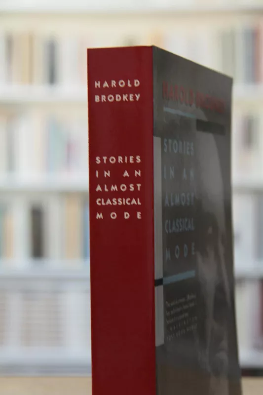 Stories in an Almost Classical Mode - Harold Brodkey, knyga 3