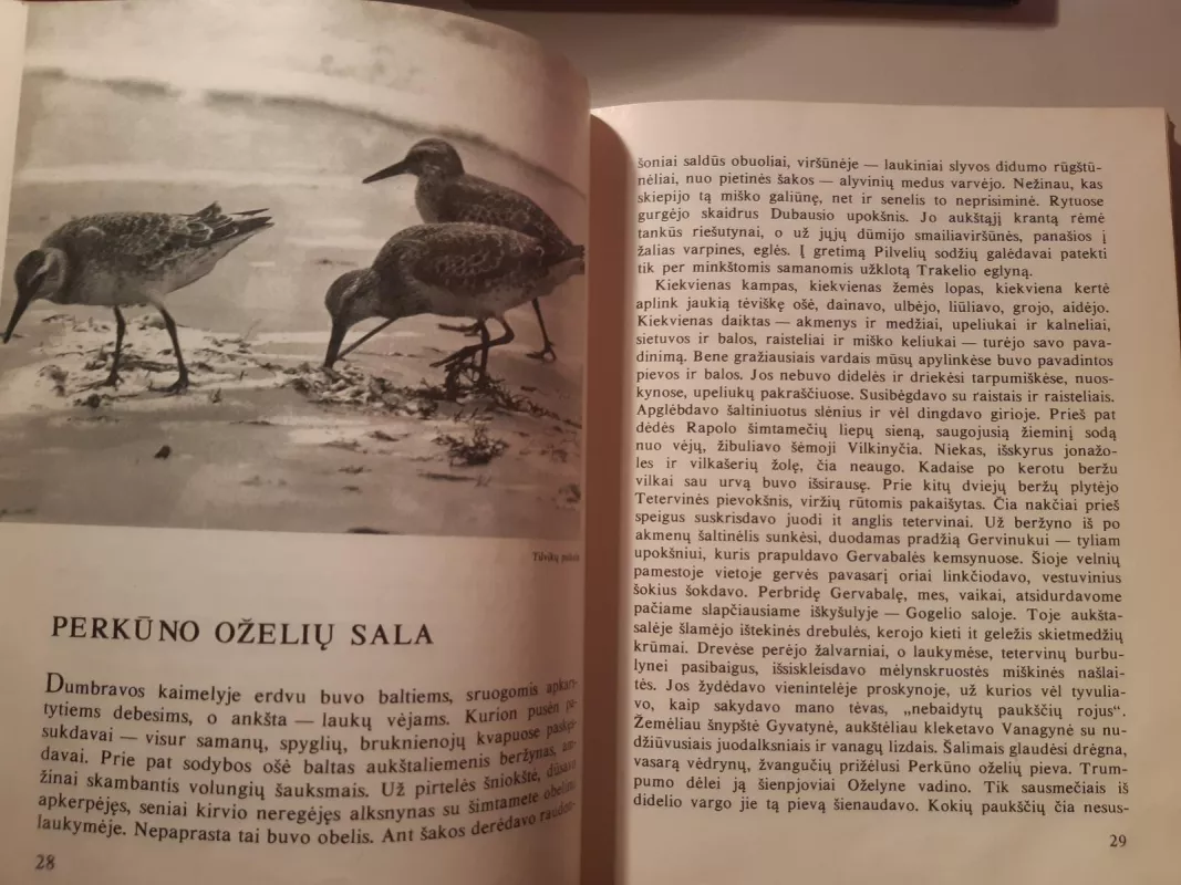 Laiškai iš bebrų pasaulio - Leonardas Grudzinskas, knyga