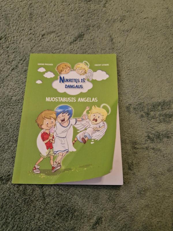 Nukritęs iš dangaus, 4 knygelės - Edmond Prochain, knyga 3