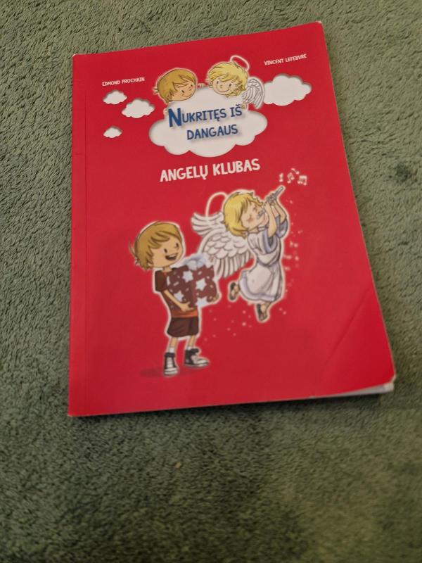 Nukritęs iš dangaus, 4 knygelės - Edmond Prochain, knyga 2