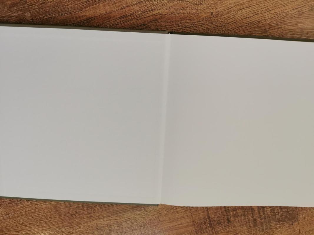 Tarp dangaus ir žemės: iš kūrybos dienoraščio - Ramutė Stakėnienė, knyga 3