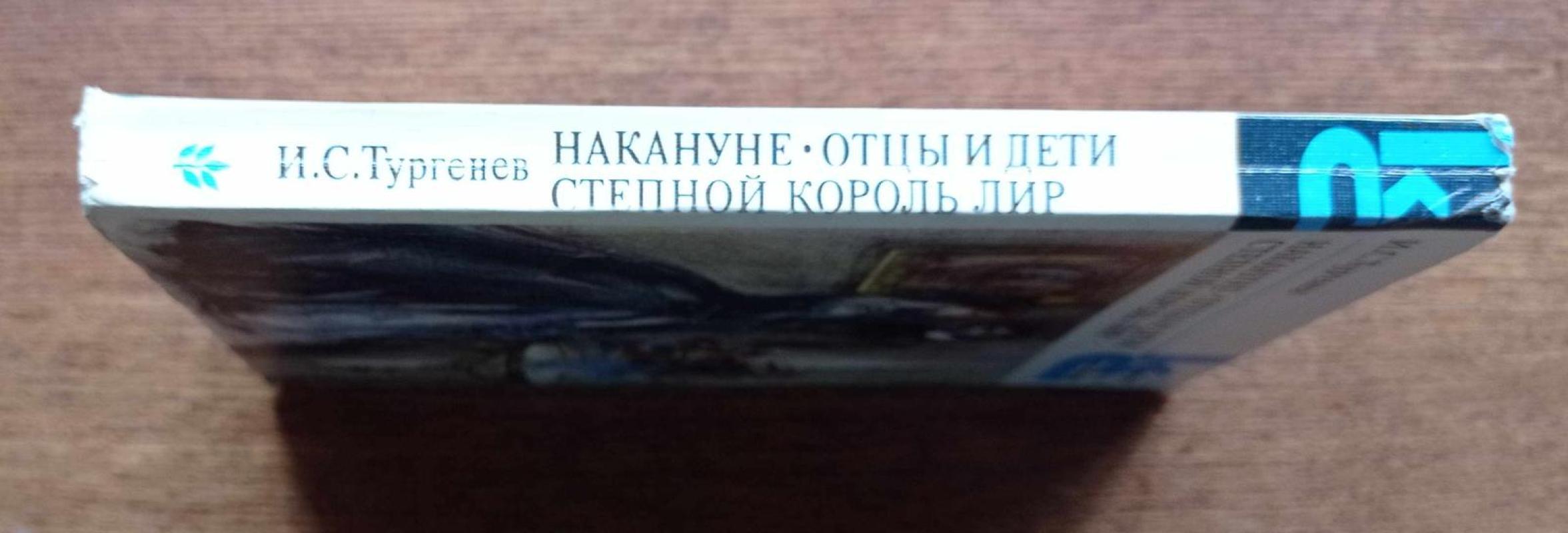Накануне. Отцы и дети. Степной король Лир - Иван Тургенев, knyga 3
