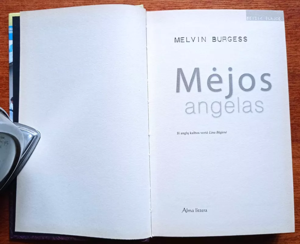 Mėjos angelas - Melvin Burgess, knyga 3
