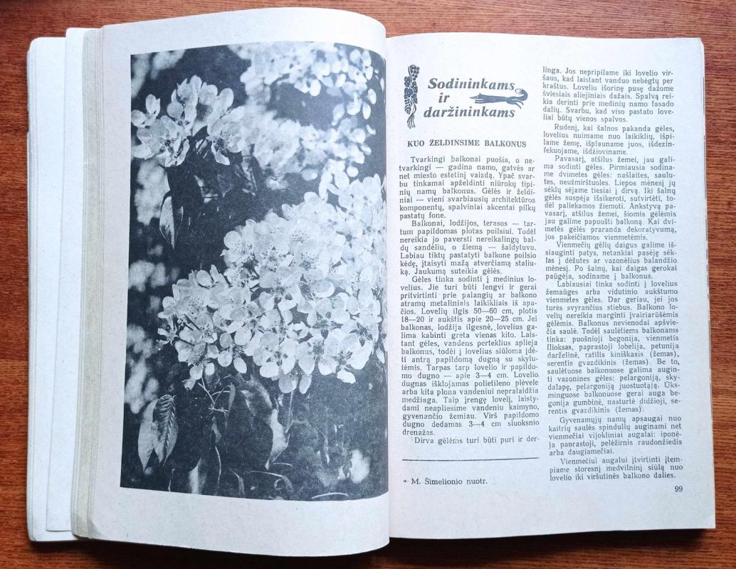 Šeimos kalendorius, 1986 m., Nr. 1 - Autorių Kolektyvas, knyga 4