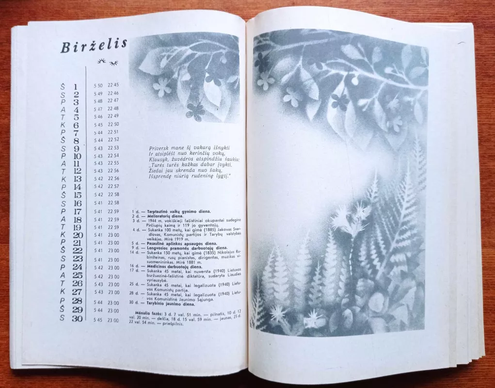 Šeimos kalendorius 1985 - Autorių Kolektyvas, knyga 4
