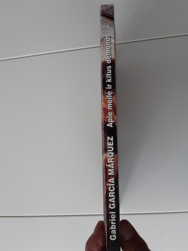 Apie meilę ir kitus demonus - Autorių Kolektyvas, knyga 4