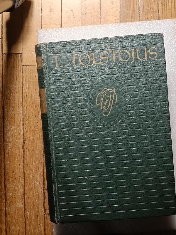 Vaikystė. Paauglio metai. Jaunystė - Levas Tolstojus, knyga 3