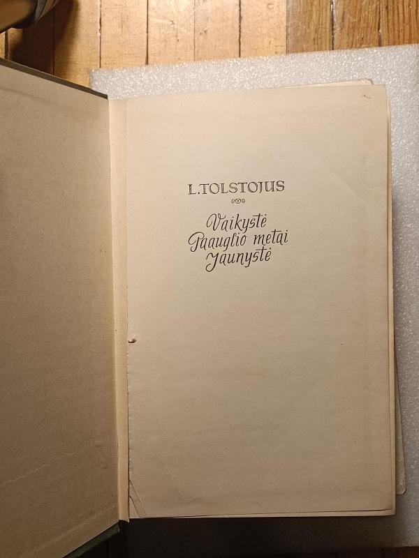 Vaikystė. Paauglio metai. Jaunystė - Levas Tolstojus, knyga 2