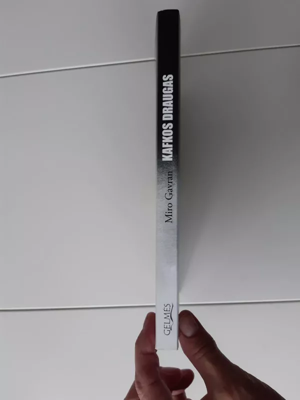 Kafkos draugas - Miro Gavran, knyga 3