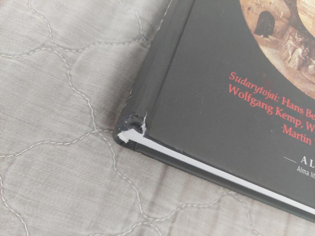 Meno istorijos įvadas - Autorių Kolektyvas, knyga 3