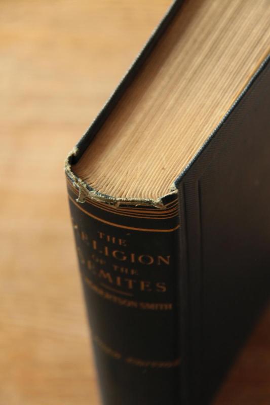 Religion of the Semites : The Fundamental Institutions - William Robertson Smith, knyga 3