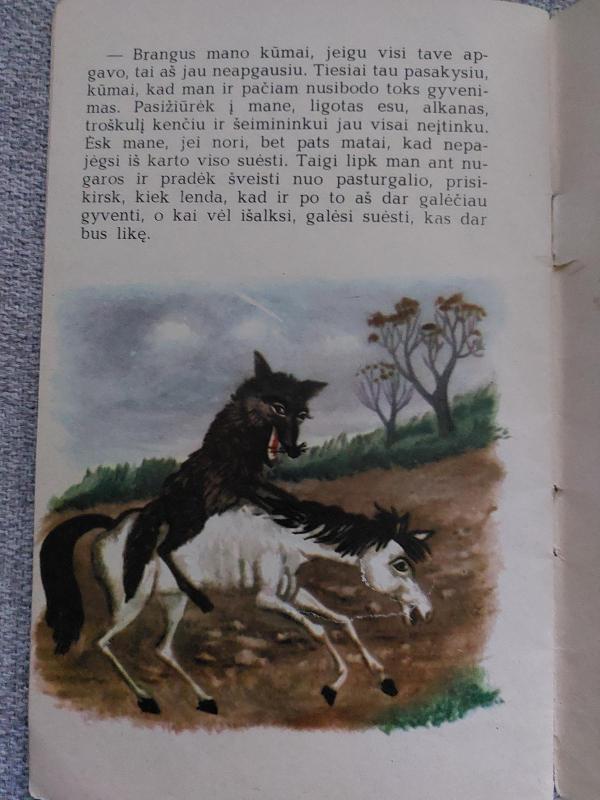 Lokys ir lapė - Autorių Kolektyvas, knyga 2