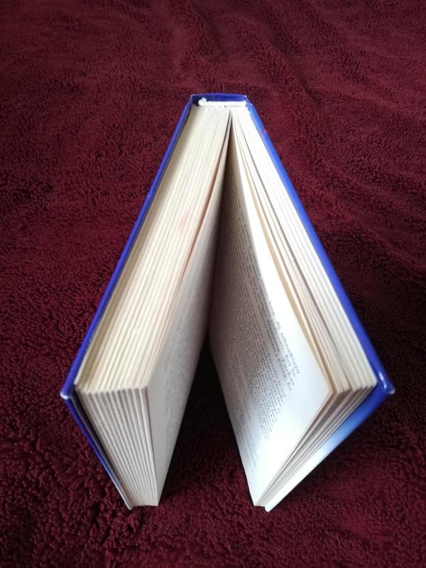 Paukštukas - William Wharton, knyga 3