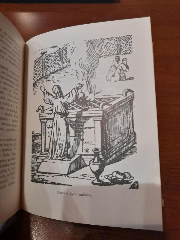 Šventieji klaidžiojimai - Petras Pečiūra, knyga 4