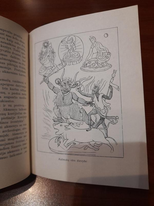 Šventieji klaidžiojimai - Petras Pečiūra, knyga 3