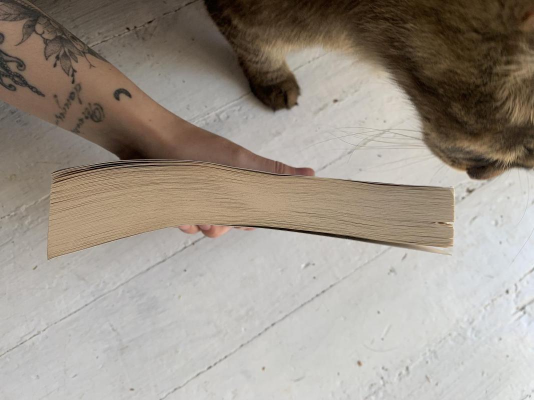 Black lands - Belinda Bauer, knyga 2