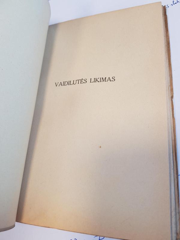 Vaidilutės likimas - Juozas Katinas, knyga 4