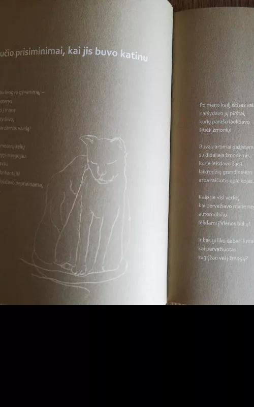 Kaip katinai uodega peles gaudo - Marcelijus Martinaitis, knyga