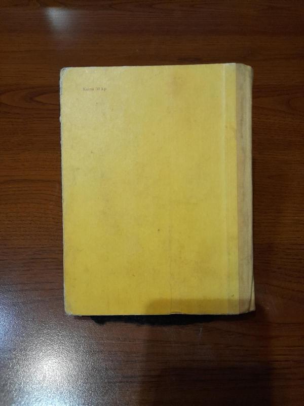 Misionieriai tarp indėnų - Alfonsas Girskis, knyga 4