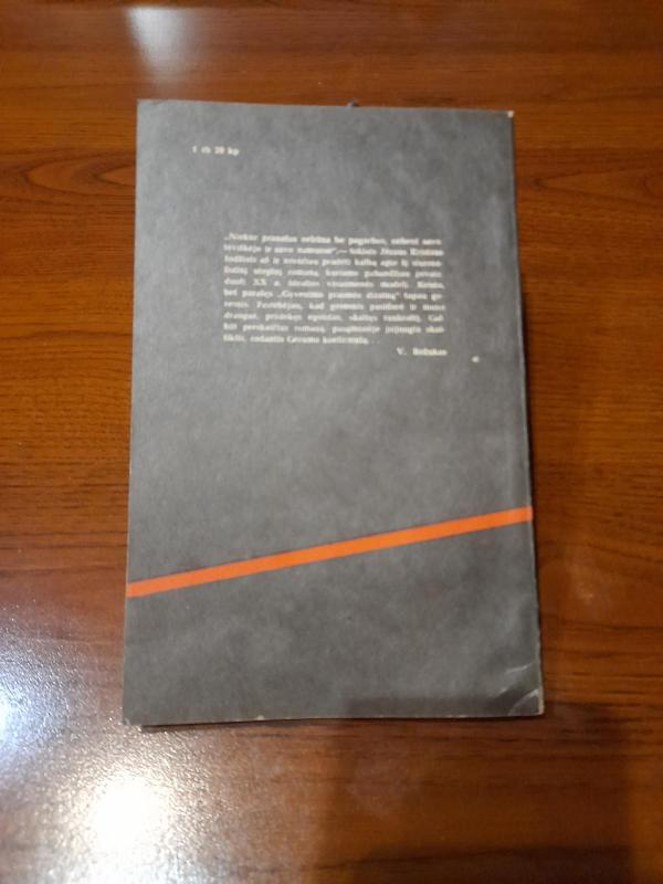 Gyvenimo prasmės dizainas - Vytenis Rožukas, knyga 4