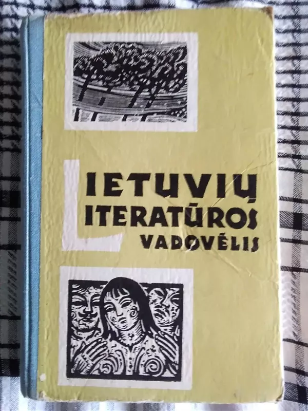 Lietuvių literatūros vadovėlis XI klasei - Lionginas Šepkus, knyga