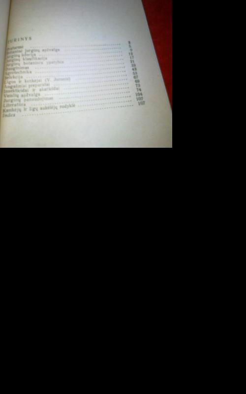 Jurginai - V. Ogorodnikienė, knyga