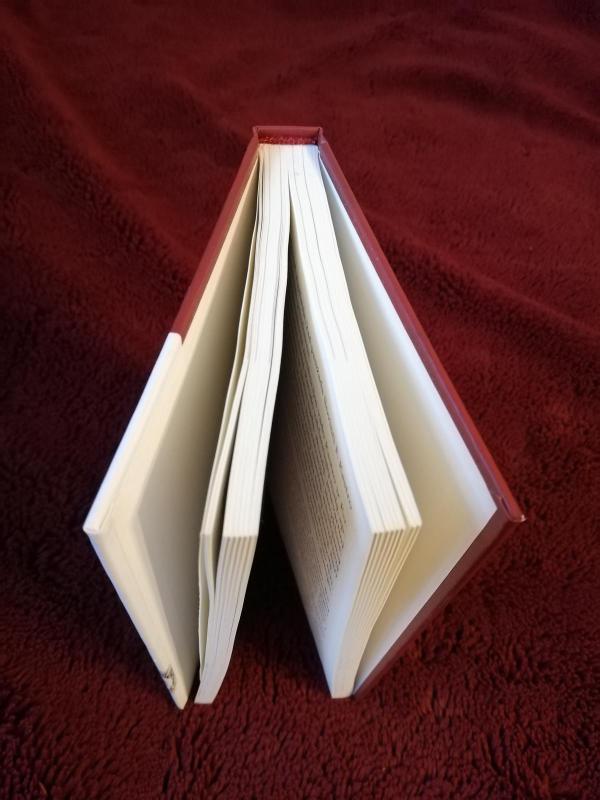 Vizijos ir tikrovė - Marija Aušrinė Pavilionienė, knyga 3