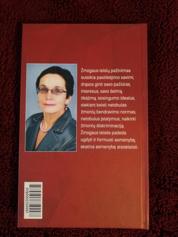 Vizijos ir tikrovė - Marija Aušrinė Pavilionienė, knyga 2