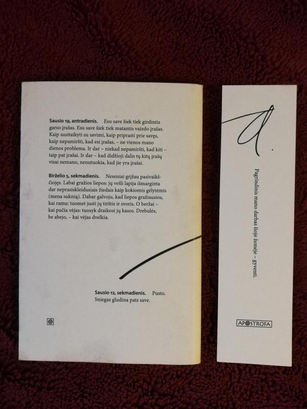 Nesufalsifikuotų dienoraščių fragmentai: 2002-2015 - Alfonsas Andriuškevičius, knyga 3