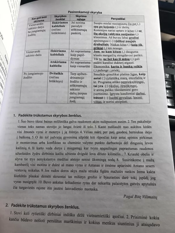 Lietuvių kalbos rašybos ir skyrybos kartojimo užduotys 11-12 klasei - Janė Juzėnienė, knyga