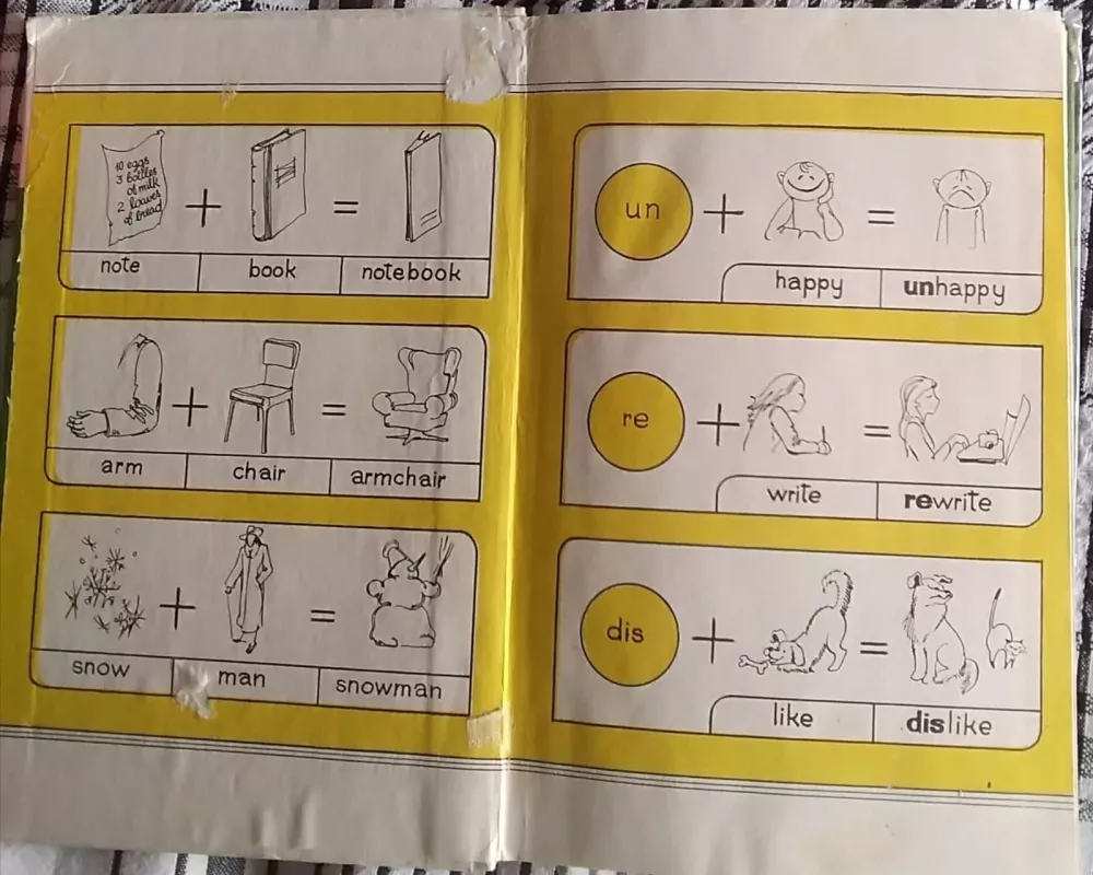 English 9 - Alma Stasiulevičiūtė, knyga 5