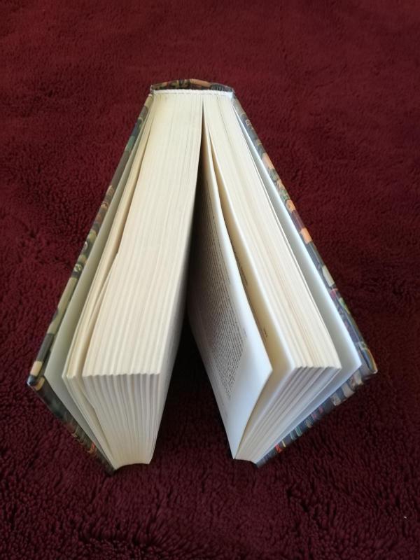 Vieno žmogaus širdis - William Boyd, knyga 3